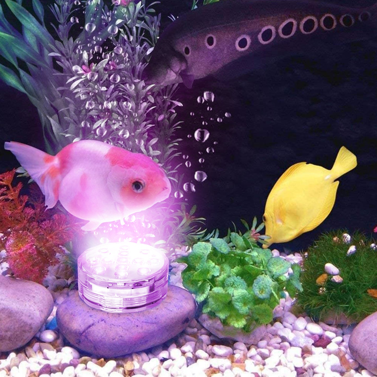 Underwater lights