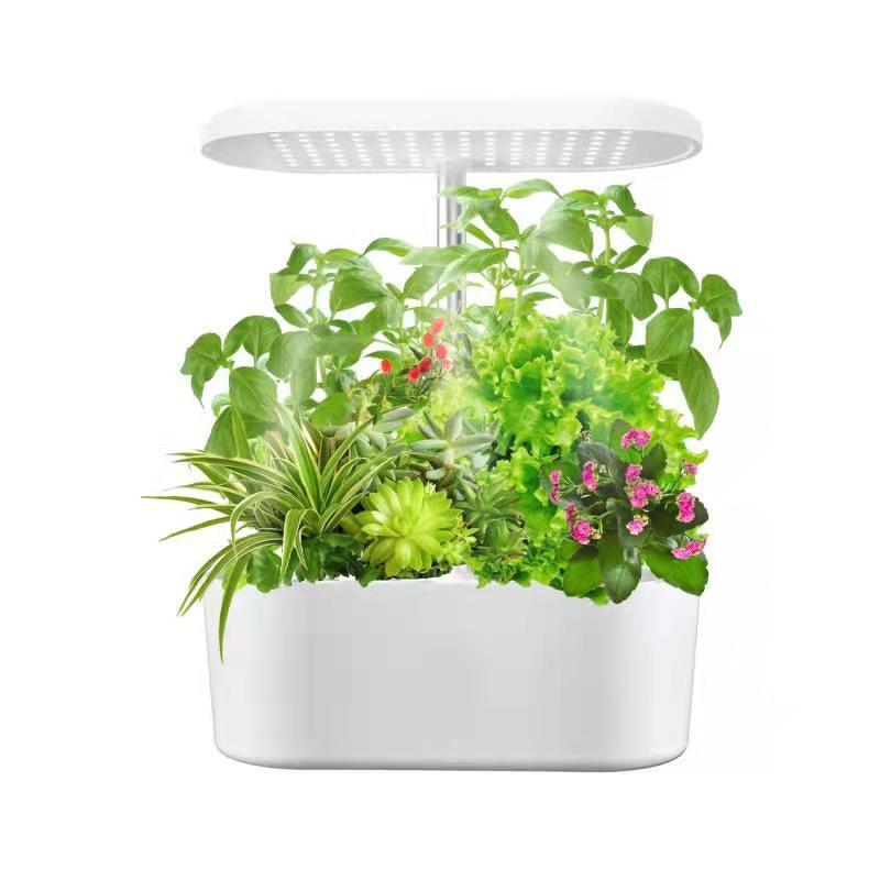 12-Pod Hydroponic Indoor Garden System with LED Grow Lights, Height Adjustable Planters, and Auto Timer for Herbs and Plants